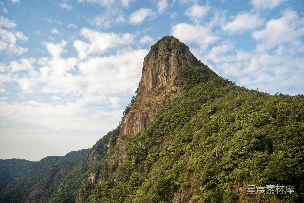 高清摄影 一座大树覆盖的高山