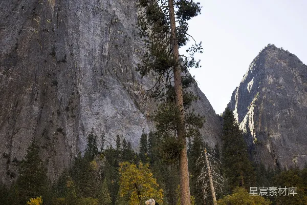 高清摄影 一个站在田野中的人，背景是一座山。
