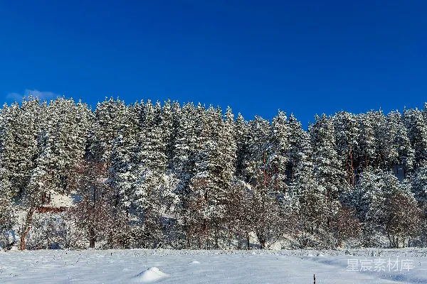 高清摄影 一片被雪覆盖的田野，背景中有树木。