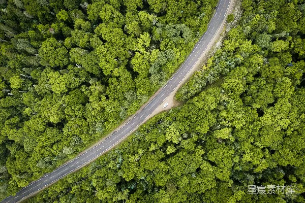 高清摄影 森林中间的一条道路的空中俯瞰图
