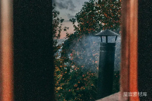 高清摄影 透过窗户看到的一棵树的景象