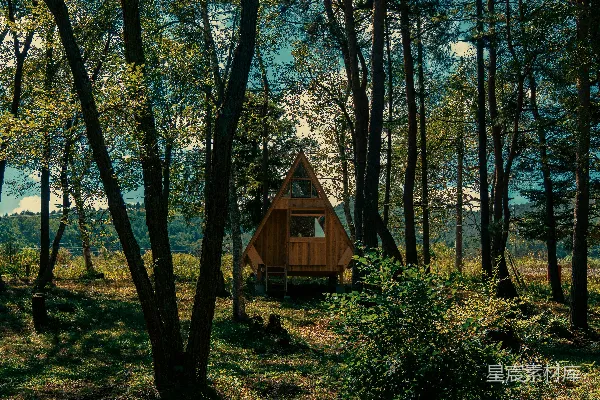 高清摄影 一个小木屋隐藏在树林中。