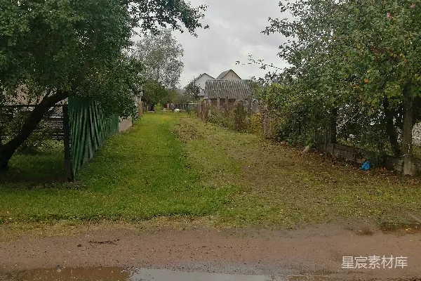 高清摄影 一条泥土路，两边都是树木。