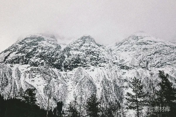 高清摄影 雪覆盖的树木和山丘的风景照
