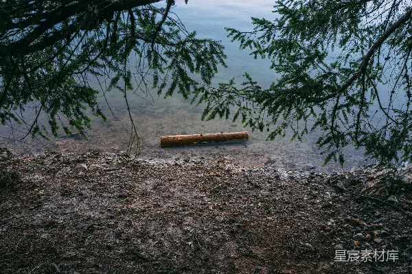 高清摄影 一块木头放在海滩上，旁边是一片水域。