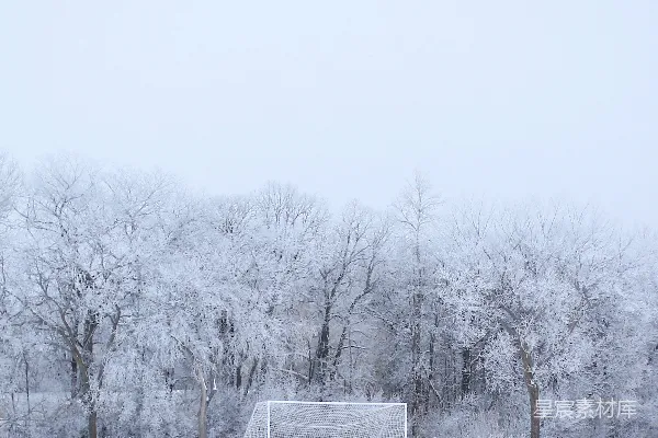 高清摄影 一个足球门，背景是积雪覆盖的田野和树木。