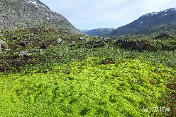 高清摄影 青山旁的绿草地