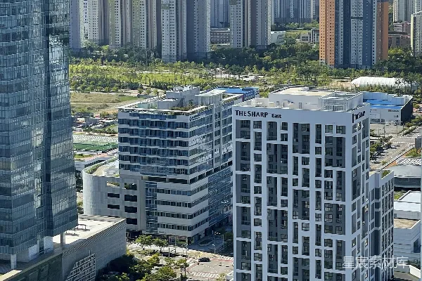 高清摄影 城市上空的航拍视角，显示了高耸的建筑物。