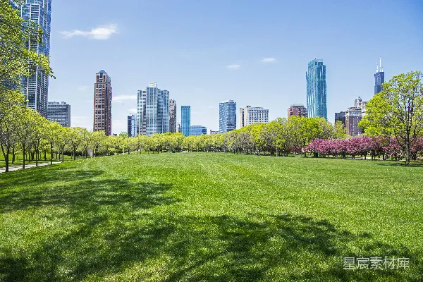 高清摄影 一片草地，背景中有树木和建筑物。