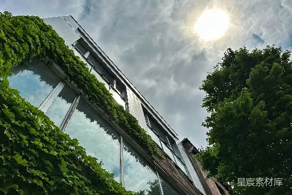 高清摄影 一座建筑上长满了植物的建筑