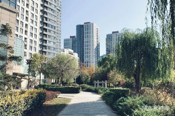 高清摄影 灰色混凝土人行道