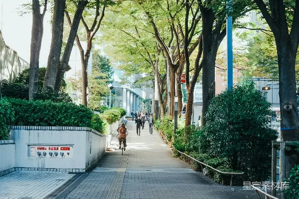 高清摄影 几个人在树旁的人行道上散步。