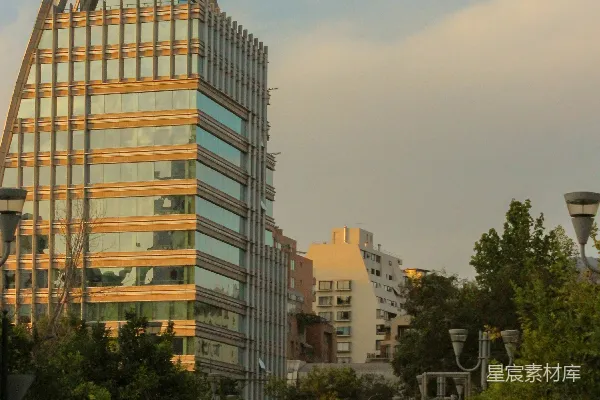 高清摄影 一条两旁高大建筑和树木的城市街道