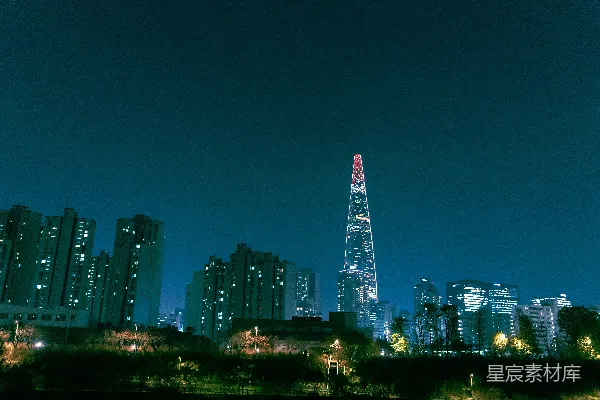 高清摄影 夜晚的城市天际线