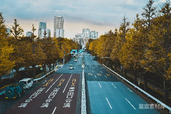 高清摄影 白天，路上有汽车靠近树木和建筑物。
