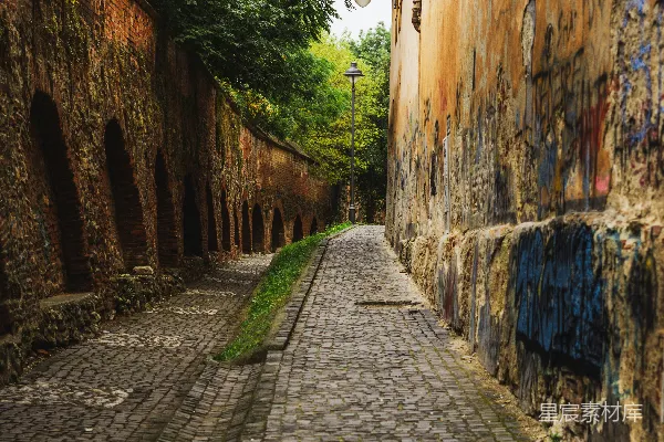 高清摄影 一条铺有砖块的道路，旁边有一盏路灯，一堵砖墙后面长着树木。