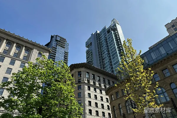 高清摄影 两座高大的建筑并排矗立。