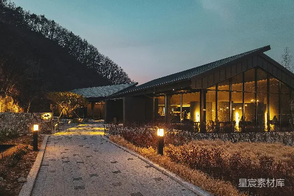 高清摄影 夜晚树木附近的棕色木制建筑