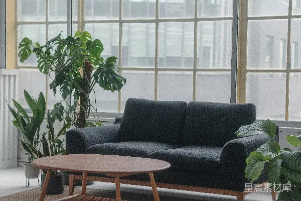 高清摄影 黑色沙发靠近绿色植物
