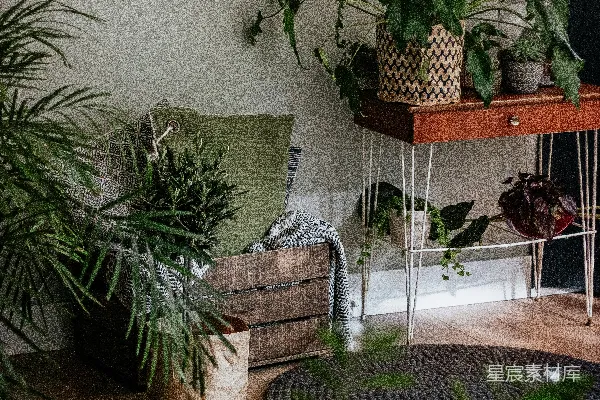 高清摄影 棕色木桌上的绿色盆栽植物