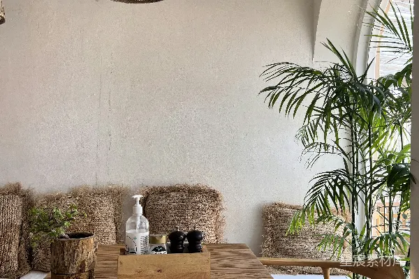 高清摄影 一张桌子，上面有椅子和一盆植物。