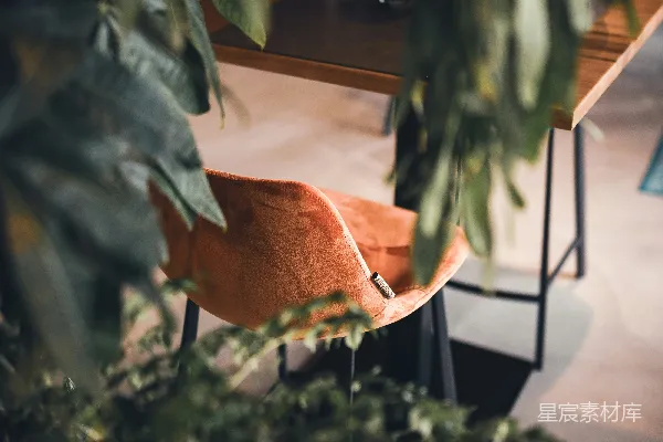 高清摄影 一棵植物前面有一座建筑。