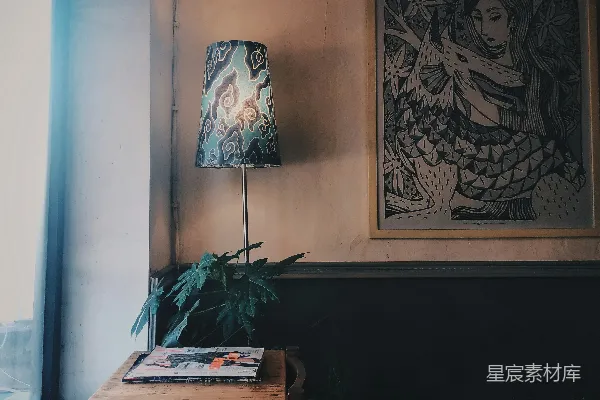高清摄影 黑色和棕色的花卉图案落地灯