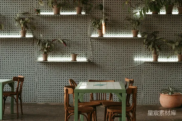 高清摄影 一个摆有桌椅和植物装饰的餐厅