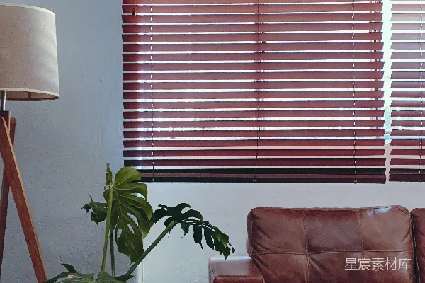 高清摄影 棕色百叶窗旁边的绿色植物