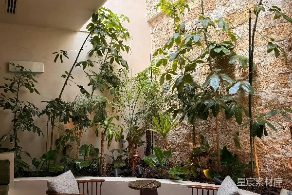 高清摄影 一个充满植物的庭院里有两张椅子和一张桌子。