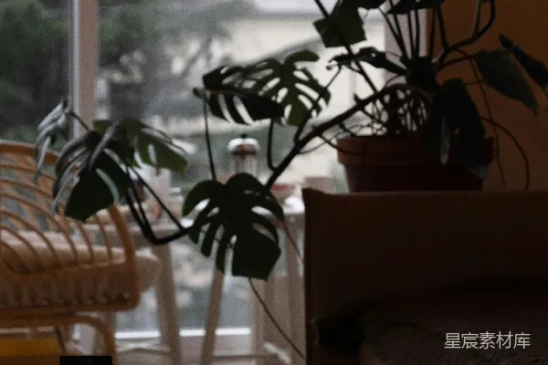 高清摄影 靠近窗户的棕色木桌