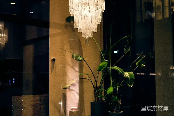 高清摄影 优雅的吊灯照亮了装饰精美的大堂，大堂内有椅子和植物。