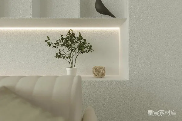高清摄影 一只猫在看镜子