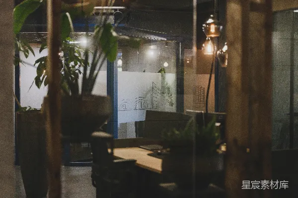 高清摄影 现代办公室内部，配有植物和悬挂的灯饰。