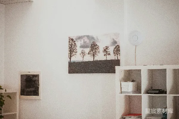 高清摄影 一个房间，里面有一个书架和一幅挂在墙上的画。