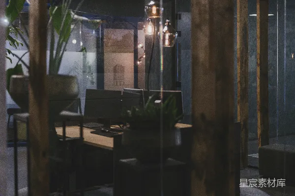 高清摄影 现代化办公室内部，有植物和办公桌。