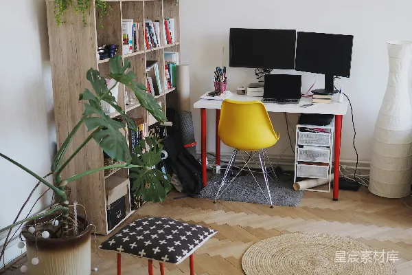 高清摄影 黑色和黄色的椅子旁边有一盆绿色的盆栽植物。