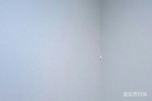 高清摄影 两张黄色的绒毛沙发空荡荡的房间里。