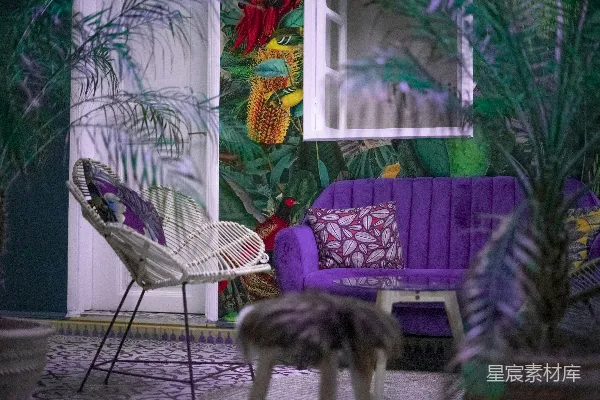 高清摄影 一只猫从椅子旁走过