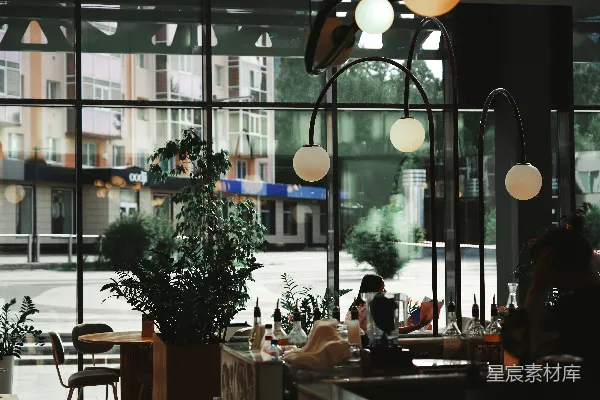 高清摄影 轻松的咖啡馆内部，带有植物、现代灯饰和街景。