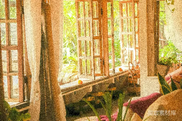 高清摄影 一个温馨、质朴的房间，充满了自然光线和植物。