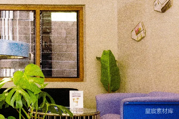 高清摄影 一个时尚的室内设计，配有植物和一个独特的座位区。