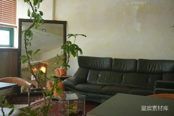 高清摄影 温馨的客厅，配有深色沙发、镜子和盆栽植物。