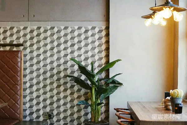 高清摄影 一个房间里有一张桌子、几把椅子和一盆植物。