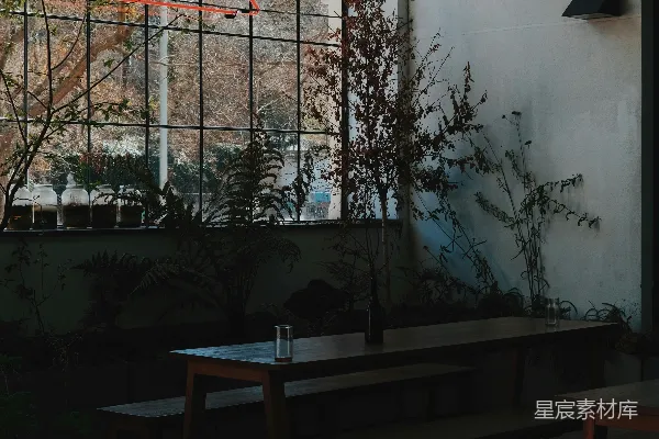 高清摄影 几排长椅坐在窗户前。