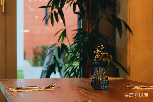 高清摄影 一张木桌，上面放着一盆花。