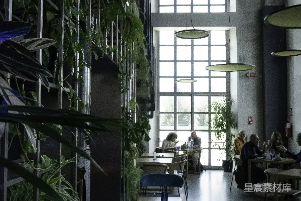 高清摄影 一间充满植物的房间，人们坐在桌子旁。