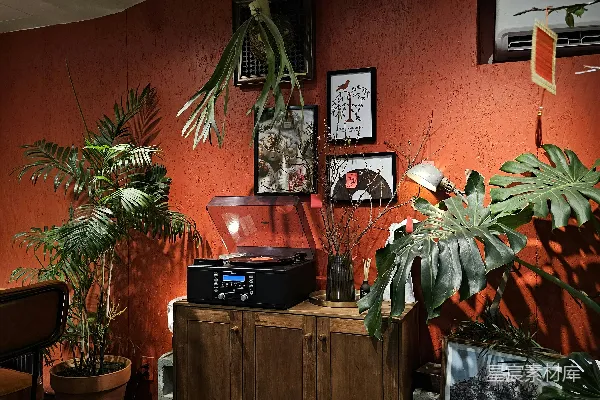 高清摄影 一个房间里有一台留声机、植物和墙上的画。