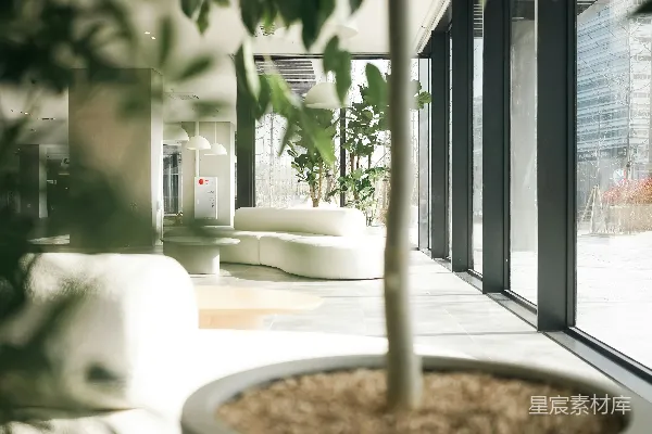 高清摄影 一个客厅，有一张沙发和一盆盆栽。