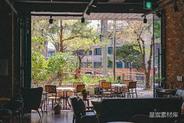 高清摄影 咖啡馆内部，带有户外花园景观